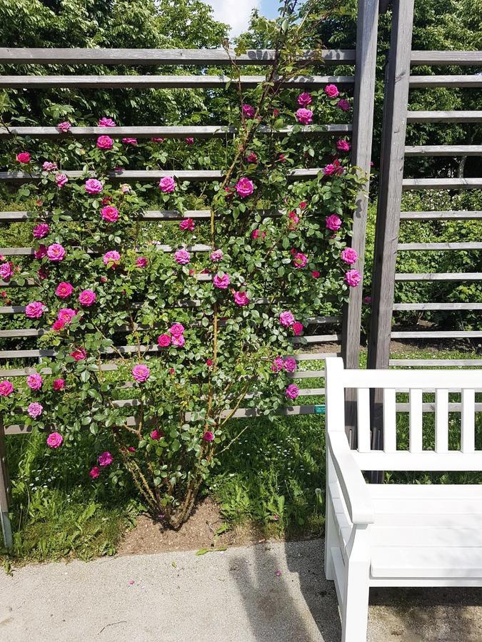 Guest house Helenental &